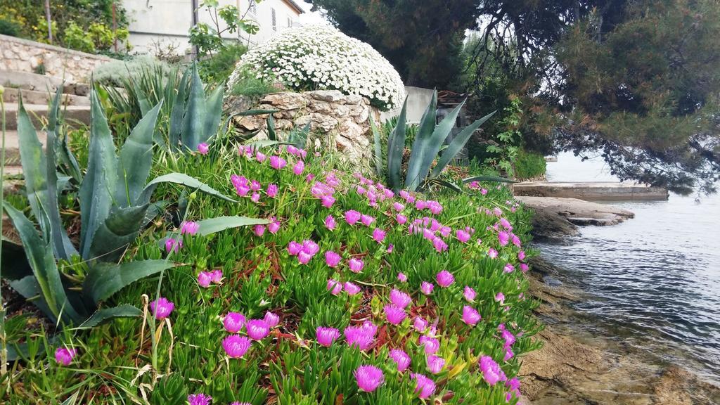 פרקו Apartments Val'S Osljak חדר תמונה
