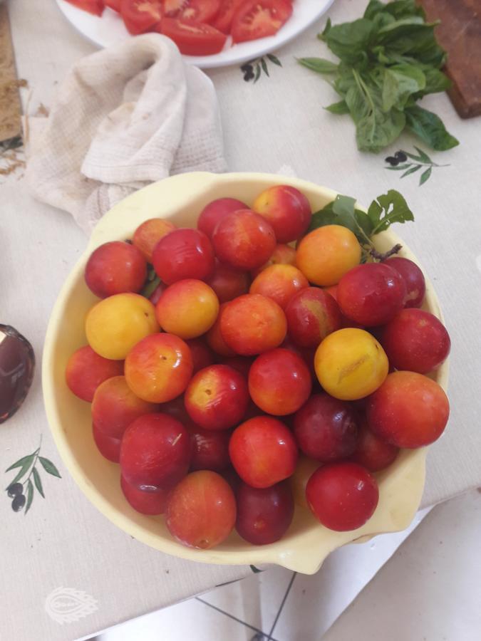 פרקו Apartments Val'S Osljak מראה חיצוני תמונה